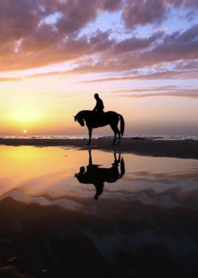 Screenshot_2015-09-24-12-22-41-1